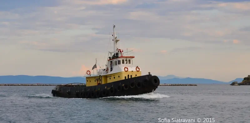 PILION Tug Boat IMO 7641932 photo 3