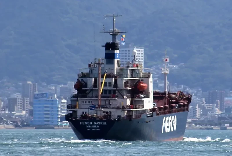 FESCO GAVRIIL Ro-Ro IMO 7642493 photo 10