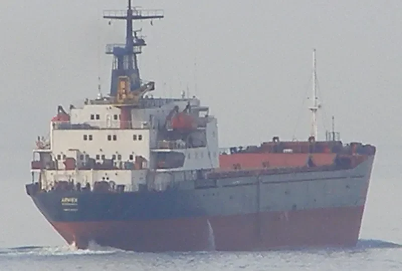 ARWEX Bulk Carrier IMO 7642534 photo 3
