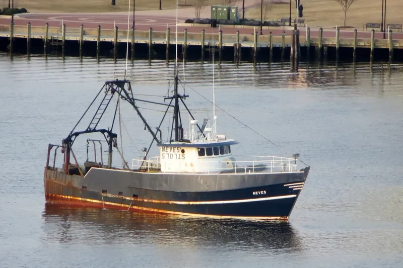 NEVES General Cargo IMO 7642883