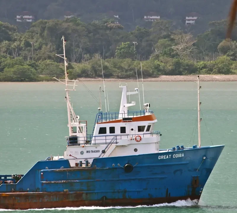 GREAT COIBA General Cargo IMO 7643019 photo 2