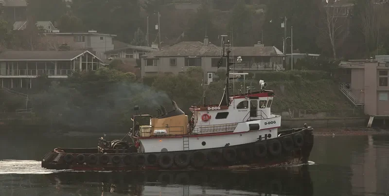 D DOG General Cargo IMO 7643629
