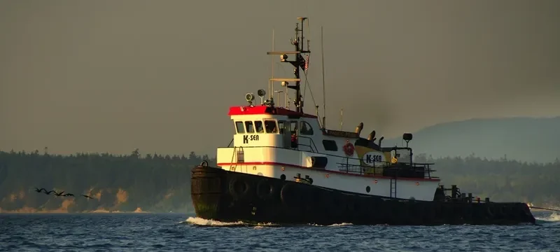 D DOG General Cargo IMO 7643629 photo 2