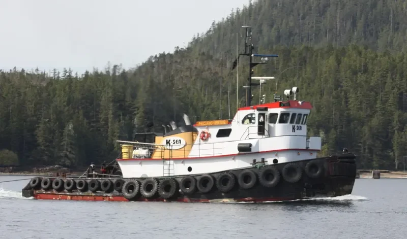 D DOG General Cargo IMO 7643629 photo 3