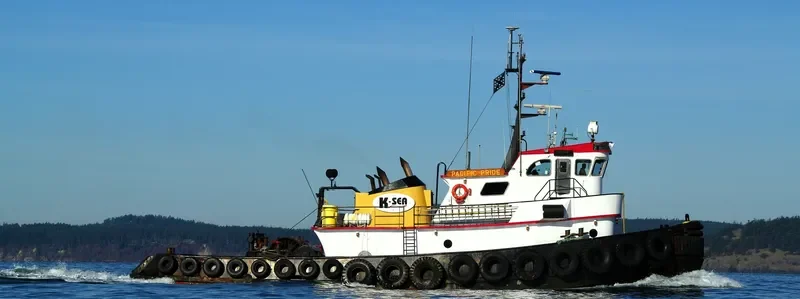 D DOG General Cargo IMO 7643629 photo 4