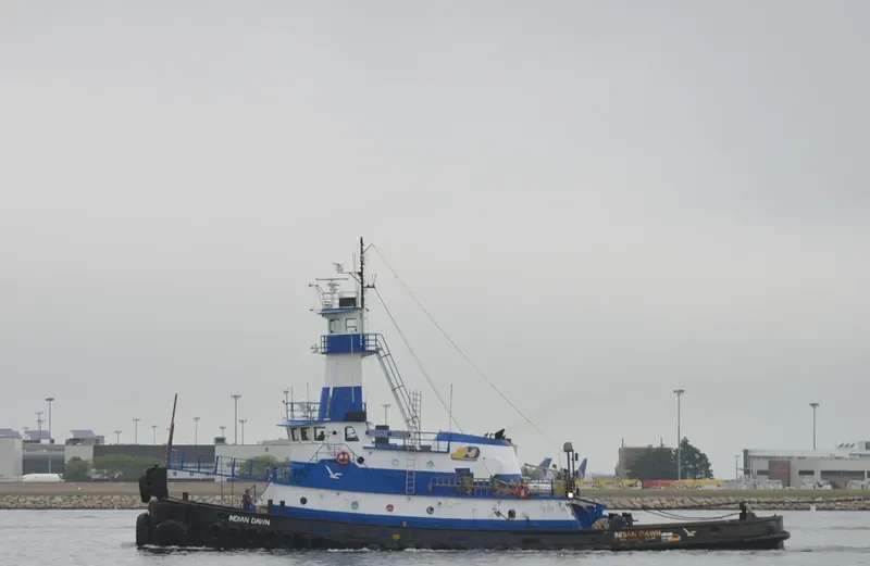 INDIAN DAWN General Cargo IMO 7643708 photo 7
