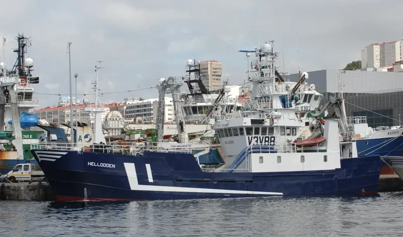 HELLODDEN General Cargo IMO 7644489