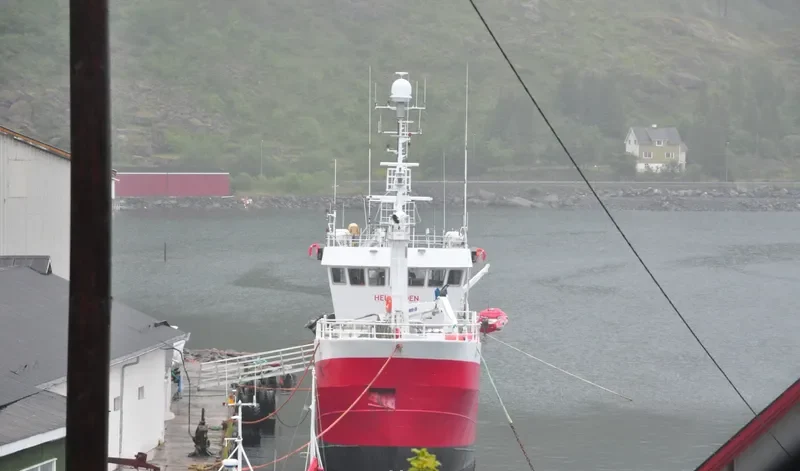 HELLODDEN General Cargo IMO 7644489 photo 3