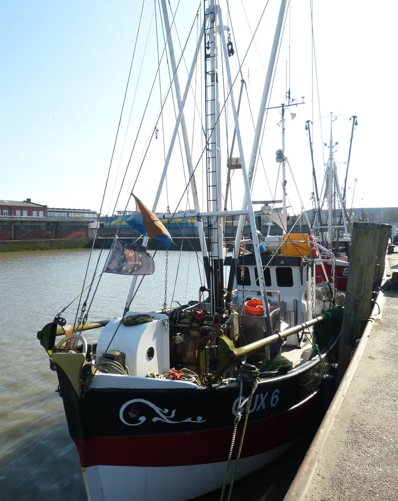 LENA General Cargo IMO 7644984 photo 2