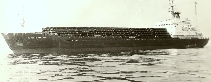 MAYA LAND Bulk Carrier IMO 7645134
