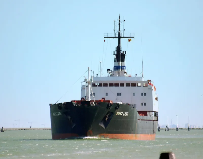 MAYA LAND Bulk Carrier IMO 7645134 photo 2