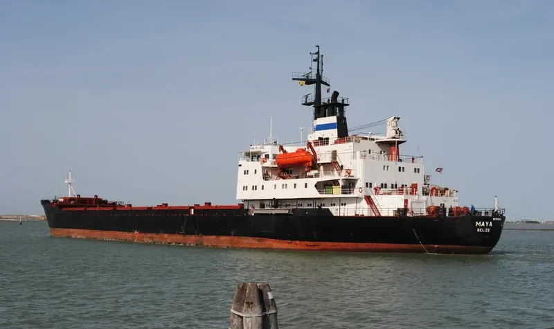 MAYA LAND Bulk Carrier IMO 7645134 photo 3
