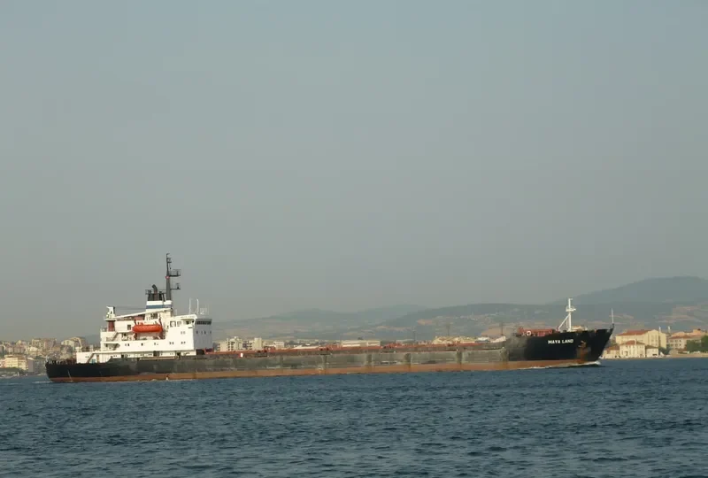 MAYA LAND Bulk Carrier IMO 7645134 photo 4