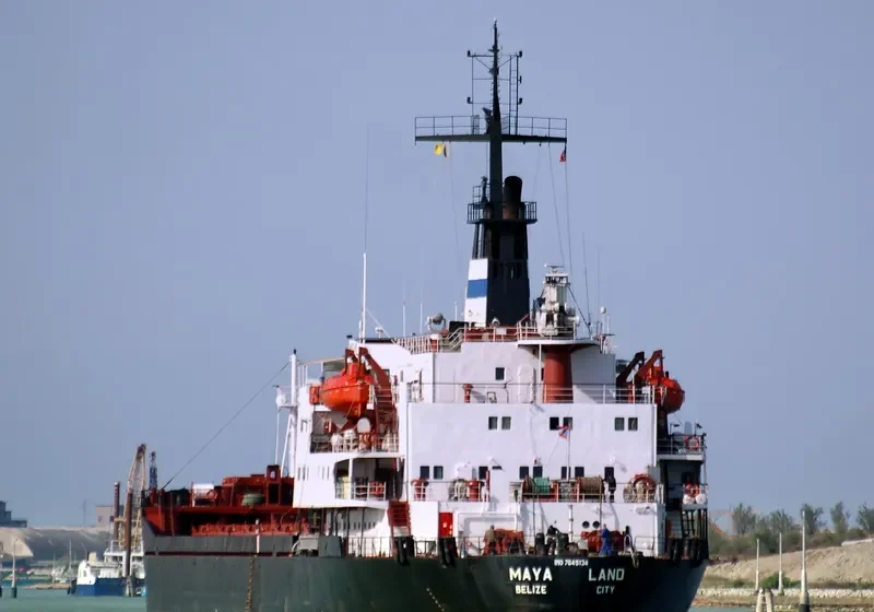 MAYA LAND Bulk Carrier IMO 7645134 photo 5