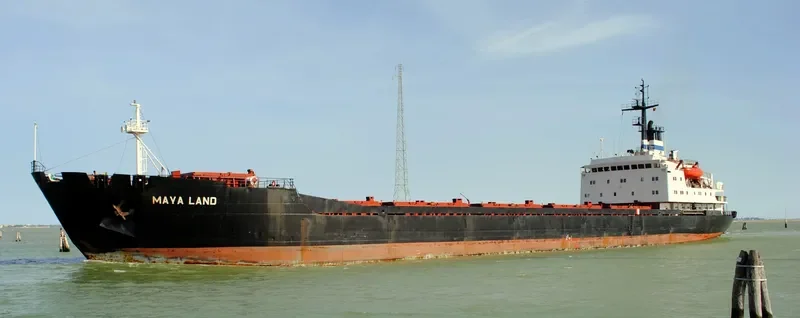 MAYA LAND Bulk Carrier IMO 7645134 photo 6