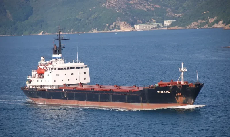 MAYA LAND Bulk Carrier IMO 7645134 photo 7