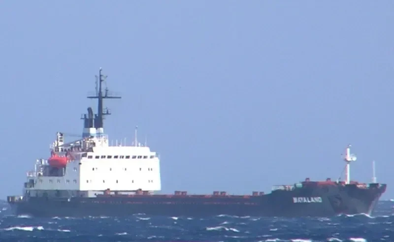 MAYA LAND Bulk Carrier IMO 7645134 photo 9