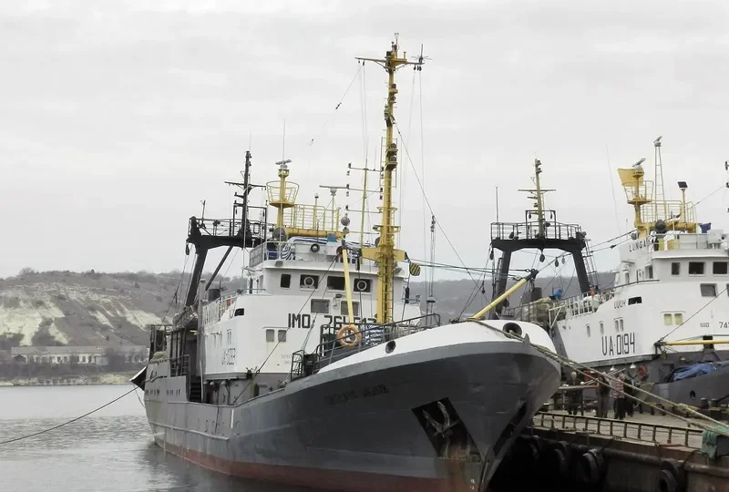KONSTRUKTOR BAYBAKOV General Cargo IMO 7645172 photo 5
