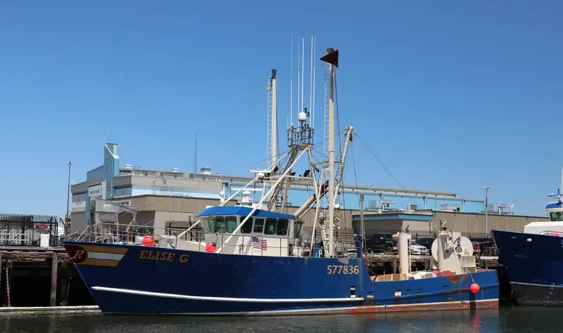 ELISE G Fishing Vessel IMO 7647302 photo 5