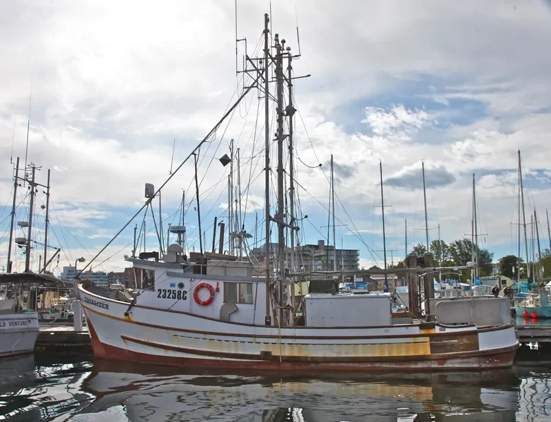 EQUALIZER Fishing Vessel IMO 7647338