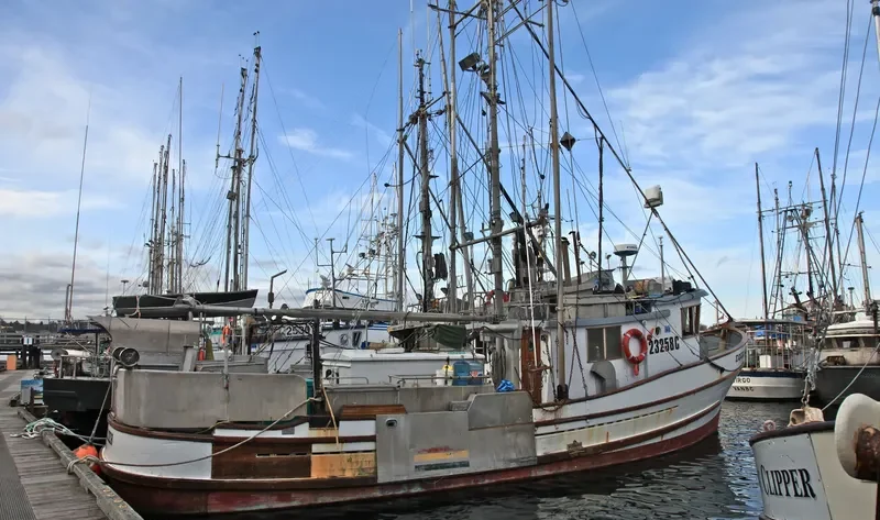 EQUALIZER Fishing Vessel IMO 7647338 photo 4