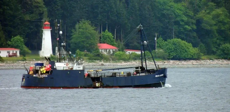 BLUE GADUS General Cargo IMO 7647883 photo 2