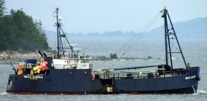BLUE GADUS General Cargo IMO 7647883 photo 3