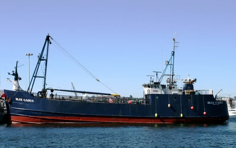 BLUE GADUS General Cargo IMO 7647883 photo 5