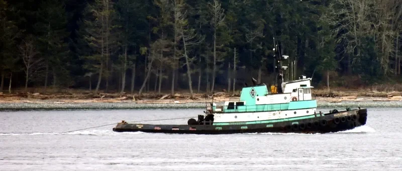 JESSE General Cargo IMO 7653818 photo 4