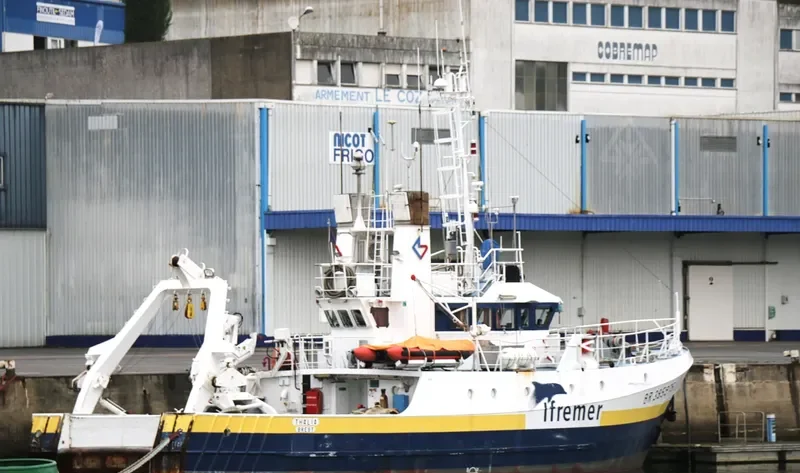 THALIA General Cargo IMO 7700013