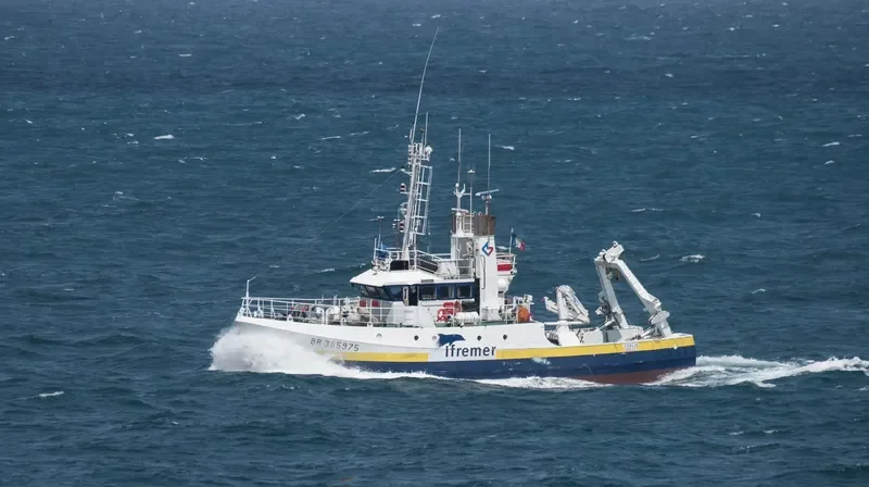THALIA General Cargo IMO 7700013 photo 4