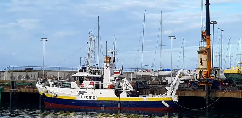 THALIA General Cargo IMO 7700013 photo 6