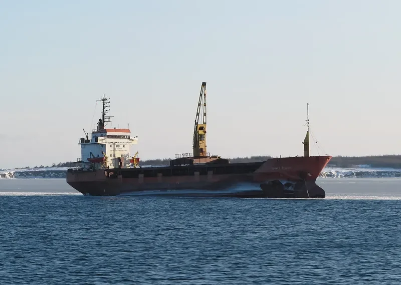 SERGEY DANILOV General Cargo IMO 7700154 photo 4