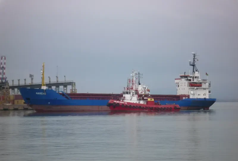 RANI General Cargo IMO 7700207 photo 10