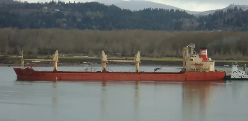 SAMMI AURORA Bulk Carrier IMO 7700312