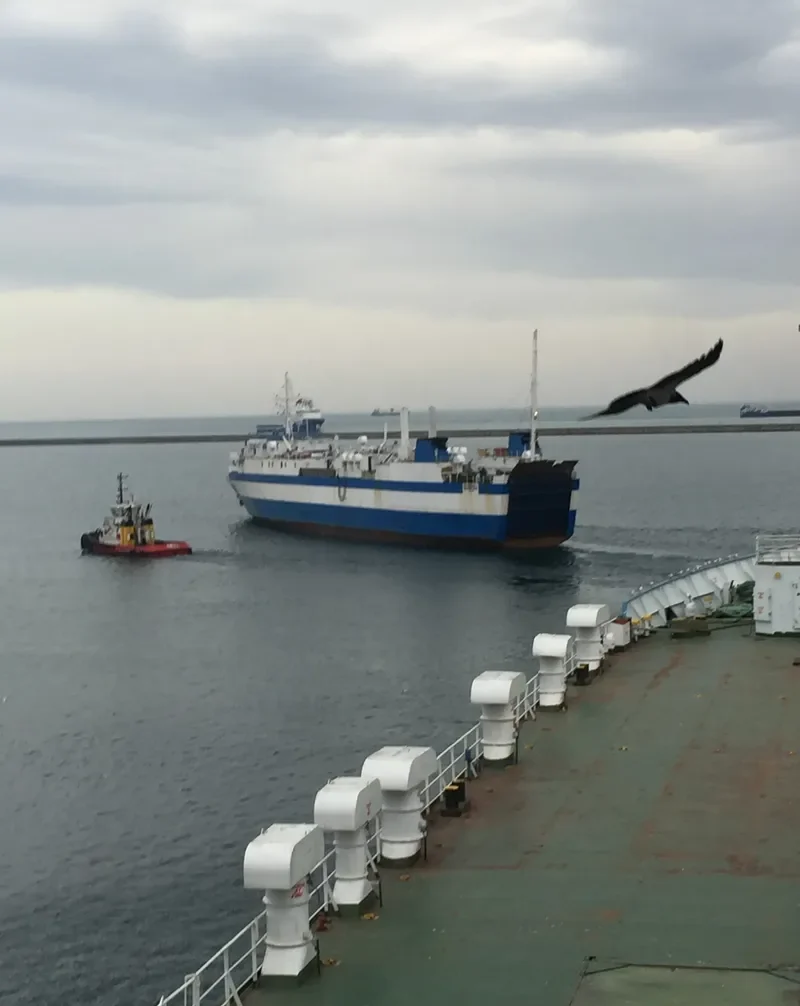 LIDER AMIRAL Ro-Ro IMO 7700427 photo 4
