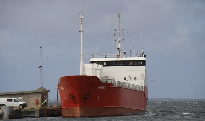 DARINA Ro-Ro IMO 7700582 photo 3