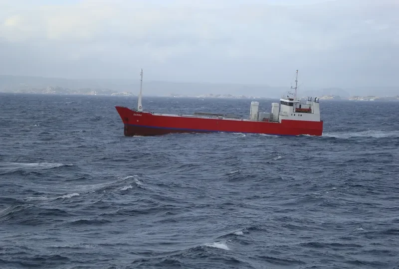 DARINA Ro-Ro IMO 7700582 photo 6
