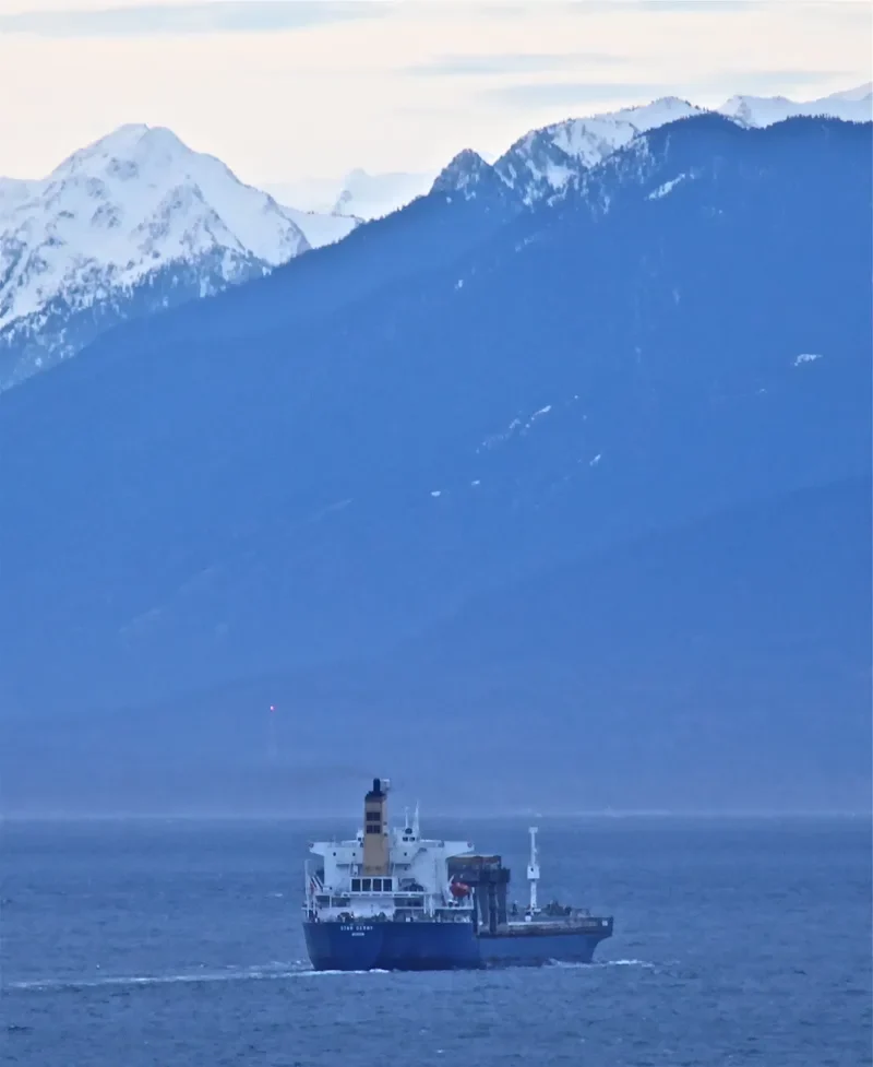 STAR DERBY General Cargo IMO 7700714 photo 4
