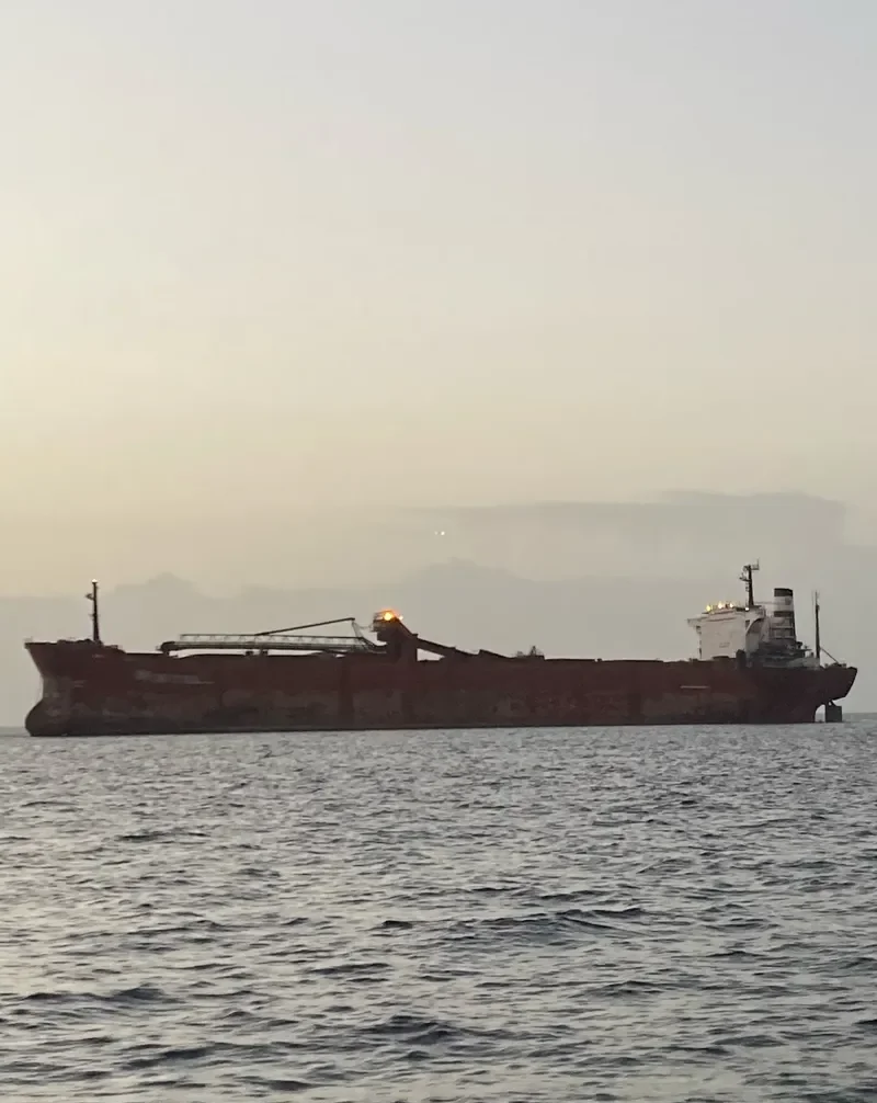 RIN Bulk Carrier IMO 7700726 photo 3