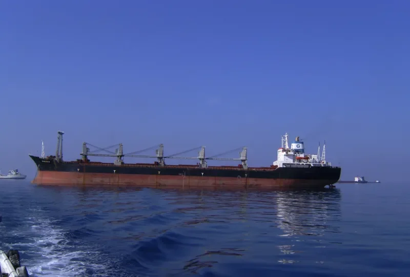 DYNAMIC G Bulk Carrier IMO 7700776 photo 2