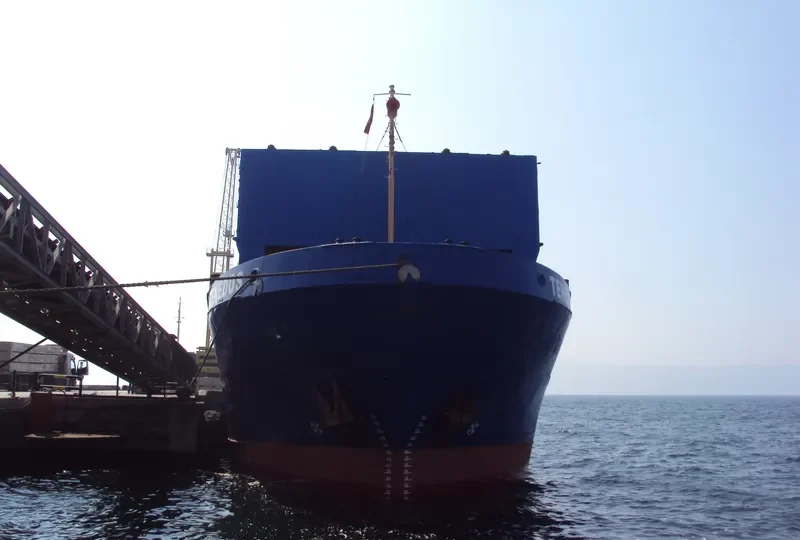 TENEDOS Bulk Carrier IMO 7701172