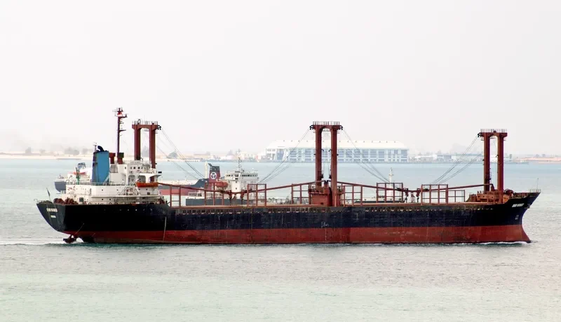 HAINA B Bulk Carrier IMO 7701263