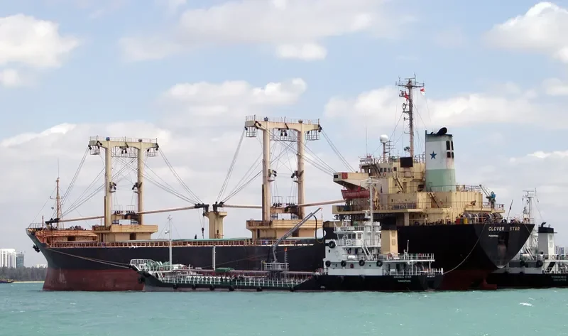 FU DA Bulk Carrier IMO 7701330