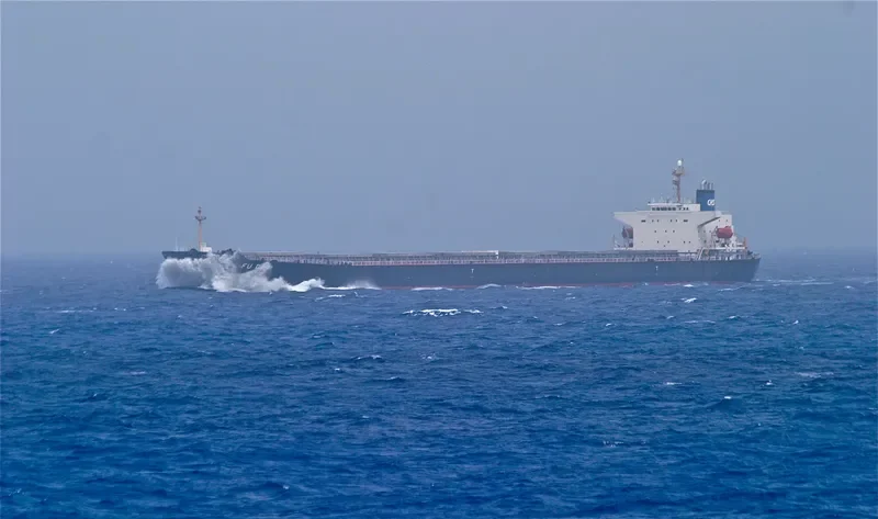 FU DA Bulk Carrier IMO 7701330 photo 2