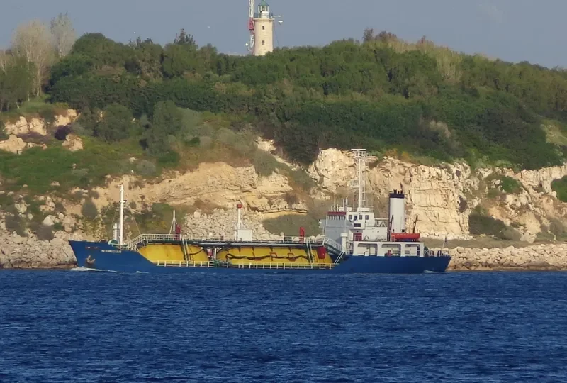 VERONIKI DIO General Cargo IMO 7701562 photo 5