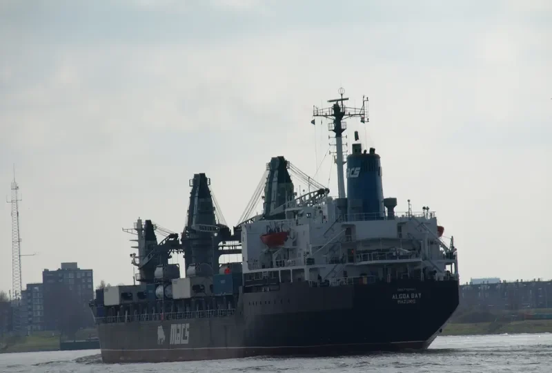 ALGOA BAY Bulk Carrier IMO 7701641 photo 9