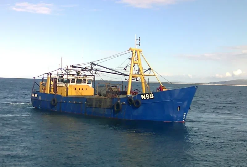 ENDURE Ro-Ro IMO 7702059