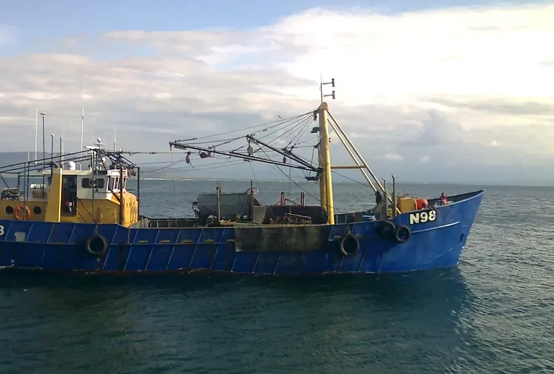 ENDURE Ro-Ro IMO 7702059 photo 2