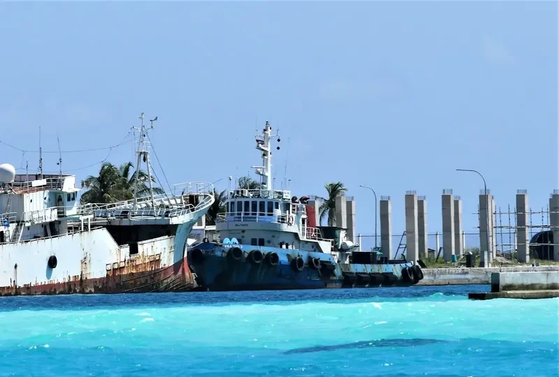 VILA TUG 3 General Cargo IMO 7702279 photo 3